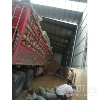 【徐汇紫金陶粒厂-徐汇陶粒价格_北京陶粒】-