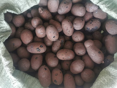 海口找坡陶粒实力厂家