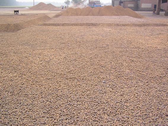 陶粒混凝土_co土木在线