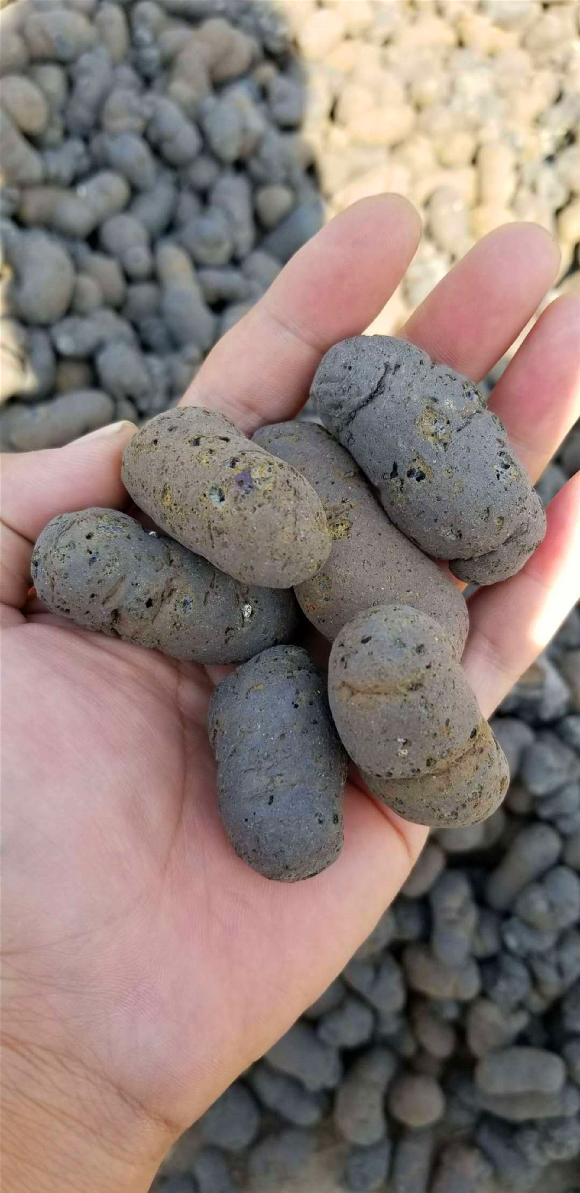 杭州生产批发各种规格绿化陶粒 种植花卉陶粒 承接园林景观工程