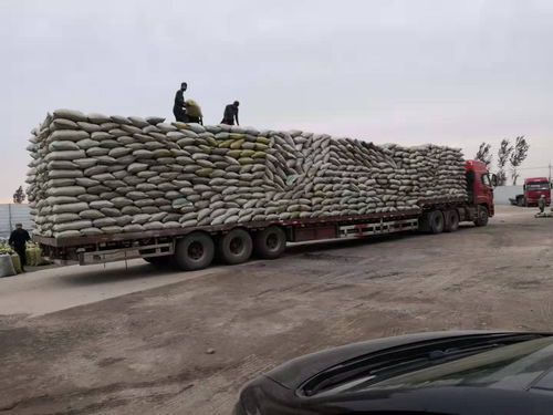 承德县轻骨料陶粒施工工艺