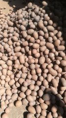 湖南长沙黏土陶粒厂价 长沙回填陶粒直销