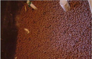 深圳哪家建材厂家工程陶粒报价较低？采购指南与厂家推荐